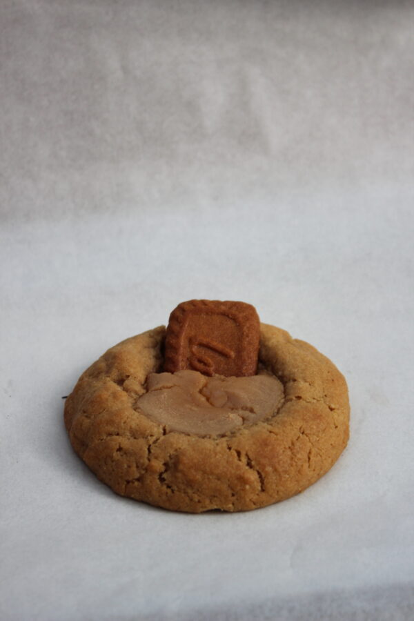 Studio Session-164 Lotus Biscoff